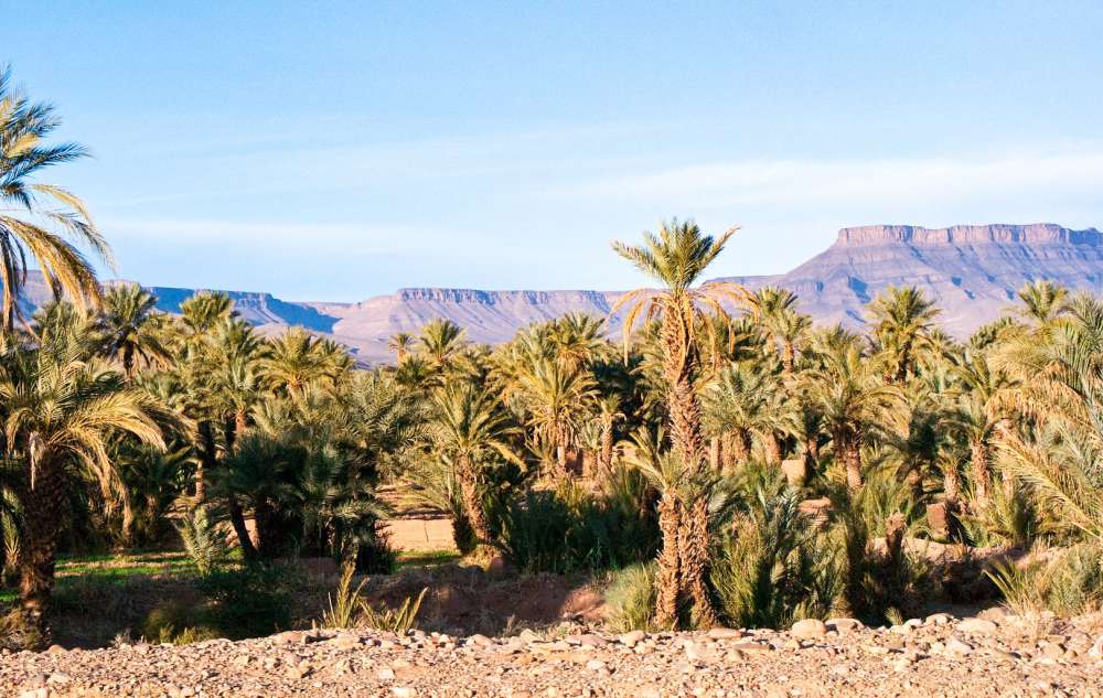 excursion marrakech